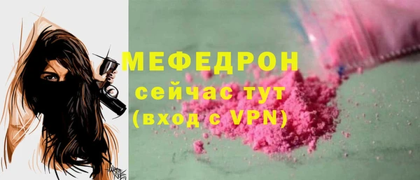 мдпв Краснослободск