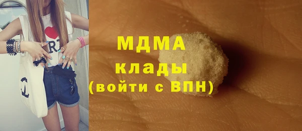 мдпв Краснослободск