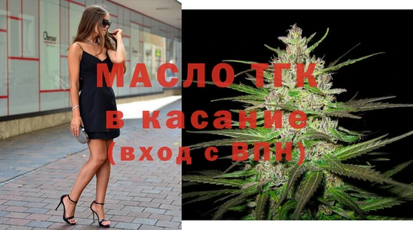 мдпв Краснослободск