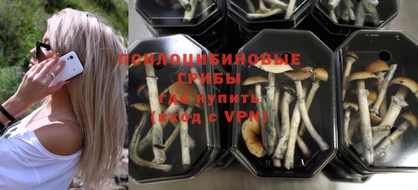 мдпв Краснослободск