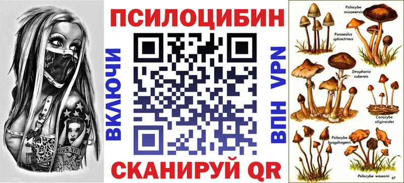 Купить закладки  Дальнегорск  Галлюциногенные грибы Psilocybine cubensis 